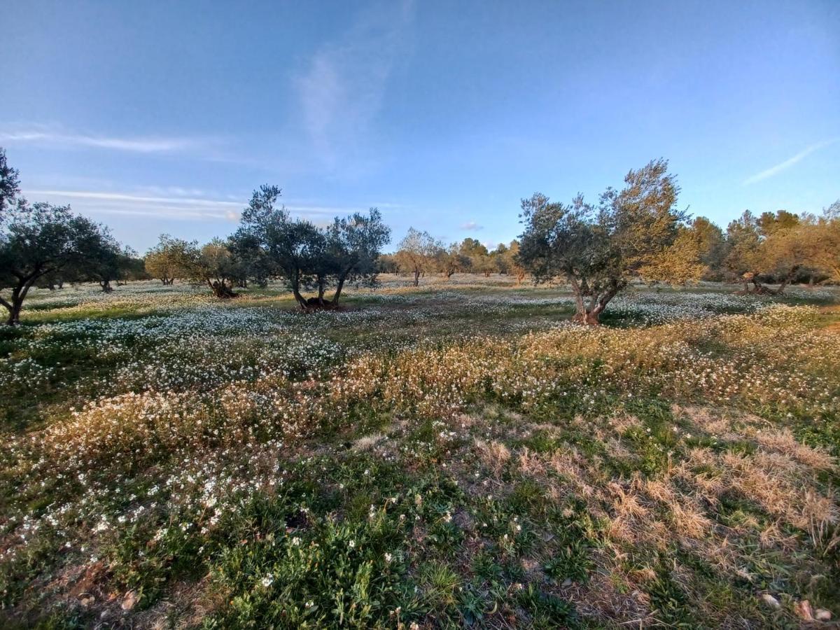 3Natura Avinyonet de Puigventós Zewnętrze zdjęcie