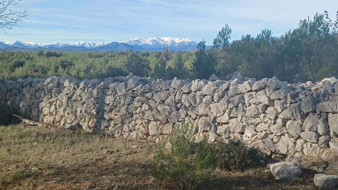 3Natura Avinyonet de Puigventós Zewnętrze zdjęcie